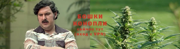 каннабис Осташков