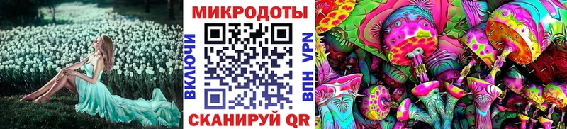 Галлюциногенные грибы ЛСД  цена наркотик  Кириллов 